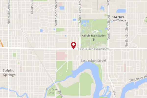 Olive Garden Italian Restaurant Tampa Bay क पत एव